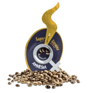 Amnesia - The Original