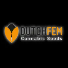 Dutchfem