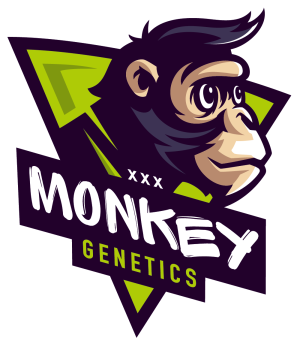 Monky Genetics