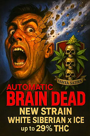 Automatic Brain Dead