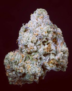 Brain Dead Automatics