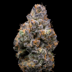 GINGER COOKIES (GMO)